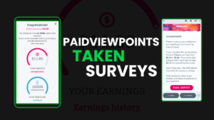 Paidviewpoints Surveys