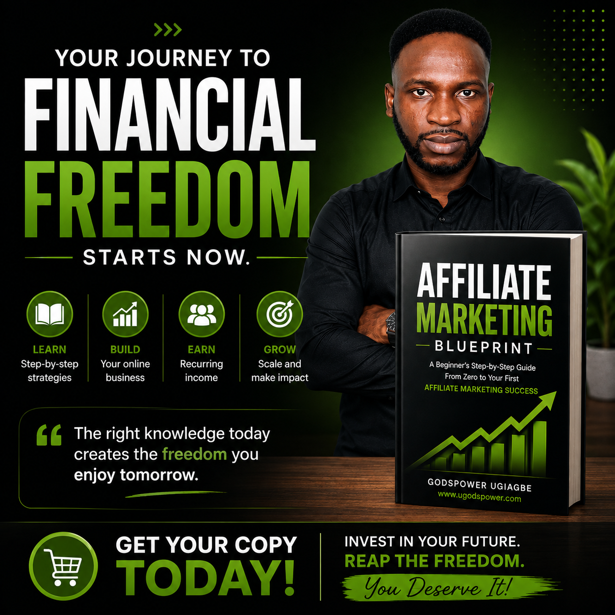 Affiliate Marketing Blueprint beginner affiliate marketing, financial freedom